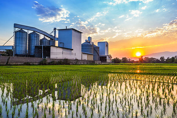 BOILERS USED IN RICE MILL INDUSTRIES